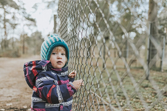 Portrait of toddler girl in warm clothes at a fence in forest
