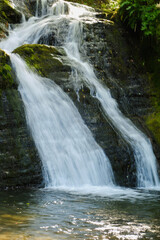 Obraz premium Hidden Forest Waterfall Retreat