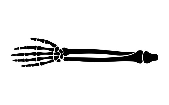 Human arm skeleton with hand bones pictogram