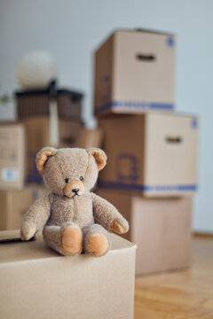 Teddy bear on cardboard box in an empty room in a new home