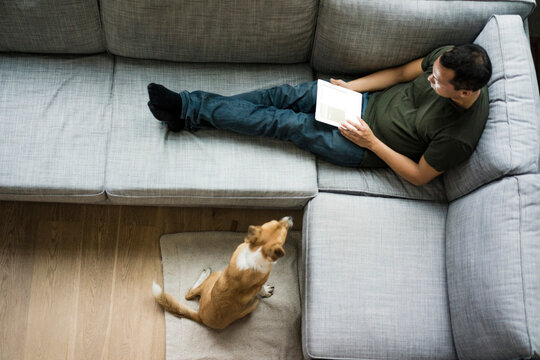 Man at home using tablet on the couch with dog beside him