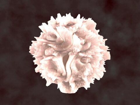 3D Rendered Illustration, visualisation of a Leukocyte, white blood cell