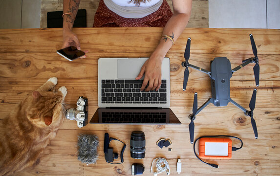 Person sitting at table with photografic equipment and ginger cat, using laptop, overhead view