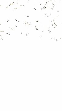 Golden Metallic Confetti Pieces Falling Down - on White Background - 3d 4k Vertical Animation (2160 x 3840px)
