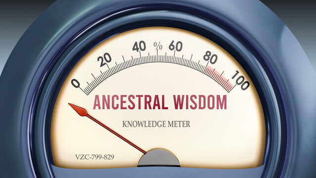 Ancestral Wisdom that hits less than zero, showing an extremely low level of ancestral wisdom, none of it, insufficient. Minimum value, below the norm. Lack of ancestral wisdom. ,3d illustration