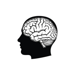 Obraz premium Detailed illustration of human brain in side profile