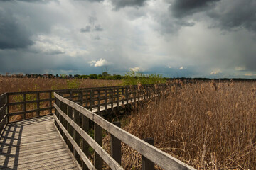 Fototapeta premium Paths along Narew National Park. Cloudy day.