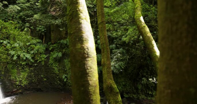 Salto do Prego waterfall is surrounded by lush green trees and a small pond