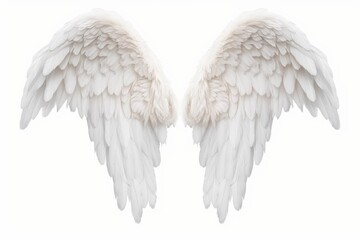 Naklejka premium White fluffy angel wings with feathers on a bright background
