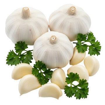 Fresh garlic and parsley isolated on transparent background