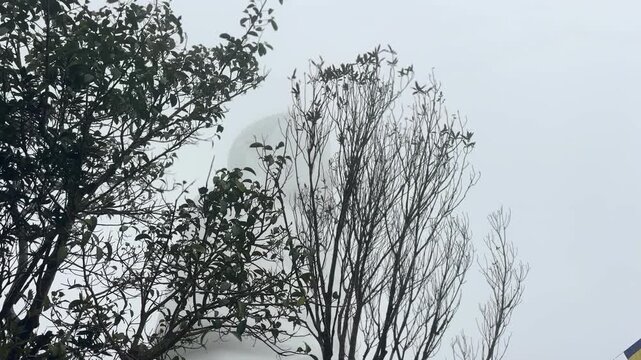 A serene scene of the Giant Buddha statue at Sun World Ba Na Hills, veiled in mist with surrounding trees. The atmosphere is tranquil, capturing the essence of this iconic Vietnamese landmark.