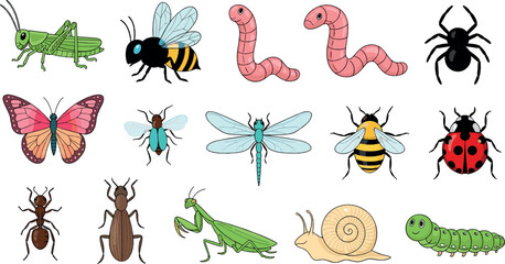 Insects and small creatures collection flat vector illustration with grasshopper bee butterfly ant worm snail and spider © MstNazma