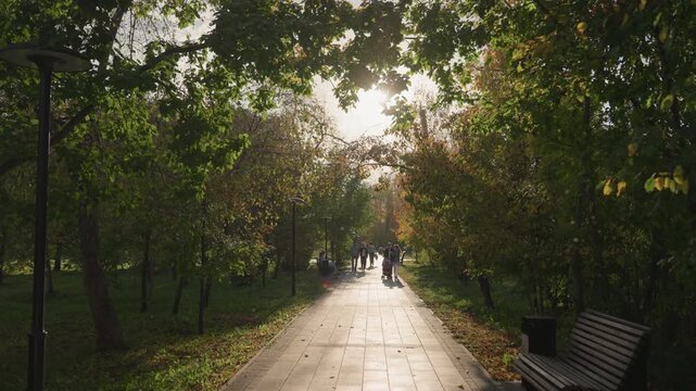 Sunlit park path with couple walking under golden tree canopy, bench at right, fallen leaves on paved walkway, warm backlight and soft shadows, intimate family moment evoking marriage and quiet