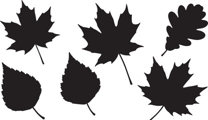 Black Solid Autumn Foliage Silhouettes Set of Six on White Background © AADIL