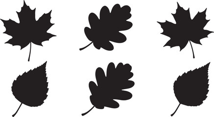 Black Solid Autumn Foliage Silhouettes Set of Six on White Background © AADIL