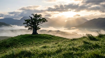 Fototapeta premium Ancient solitary tree stands majestically on a dew-kissed grassy hill overlooking a misty valley as golden sunbeams pierce through dramatic clouds at dawn.