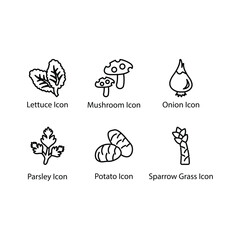 Lettuce, Mushroom, Onion, Parsley, Potato, Sparrow Grass, icon
