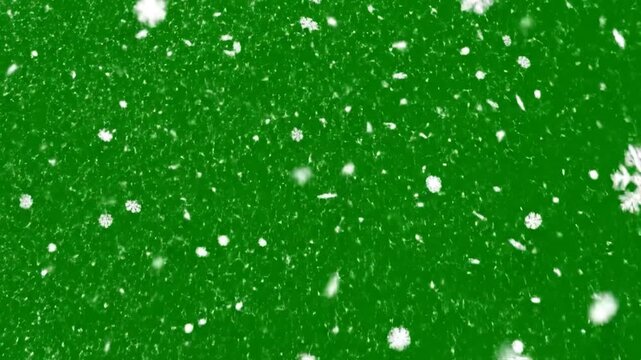 Beautiful white snowflakes gently falling and drifting against a vibrant green