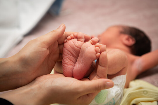 Baby feets in mother's hands