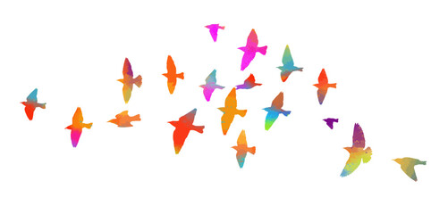 Flying birds colored silhouette flock. hand drawing. Not AI. Vector illustration © Мария Неноглядова