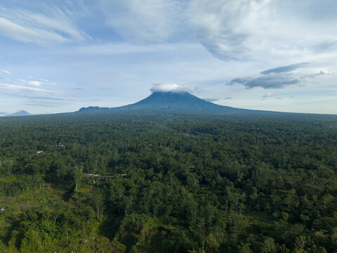 Aerial view of a lush green forest stretching to the foot of a towering mountain, capped with a wispy cloud, Klaten Regency, Jawa Tengah, Indonesia.