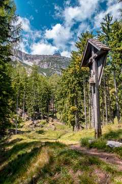 Bosco di montagna con crocifisso