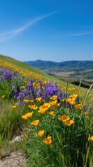 Fototapeta premium Lush Hilltop Framing Wildflowers under Clear Blue Sky on Scenic Landscape