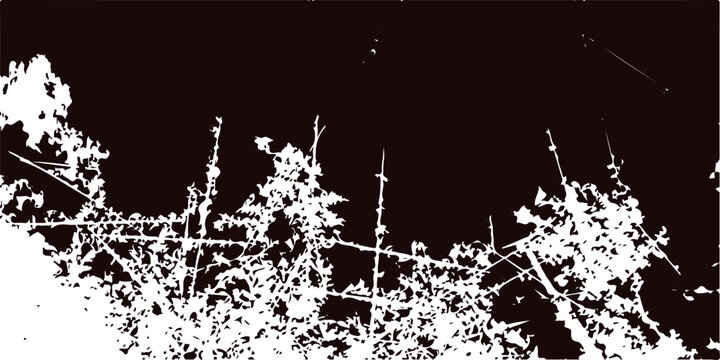 A black and white abstract grunge background featuring a floral nature pattern with ink splash textures and a dirty vector frame design
