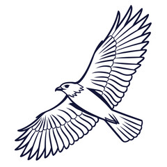 Obraz premium Flying Eagle Line Art Vector – Spread Wings Bird Logo Illustration