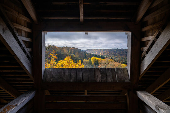 View from a wooden watchtower overlooking the golden autumn forest. Sigulda, Latvia