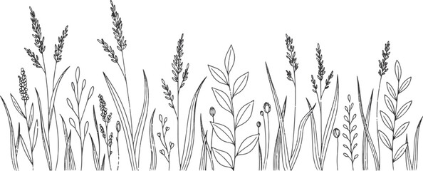 Naklejka premium Botanical line art illustration of cereal plants and prairie grass for organic design.