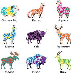Obraz premium Wild and Domestic Ruminant Collection:Flat Line Art of guinea pig, ferret, alpaca, llama, yak, reindeer, moose, bison, antelope, ibex and Icons.