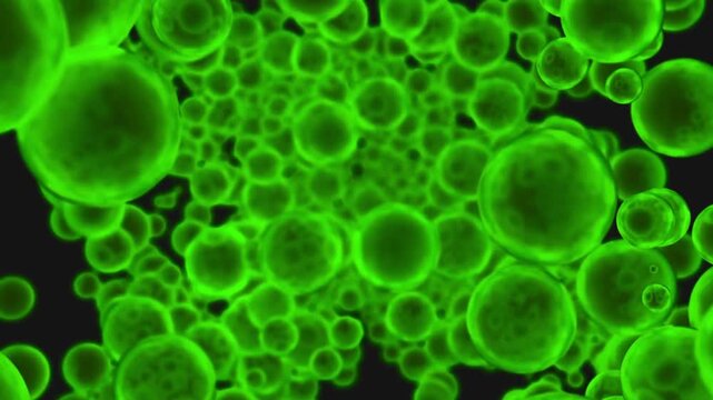 3D render of fat cells inside human adipose tissue showing clustered adipocytes storing lipids. Medical and biological concept illustrating metabolism, obesity, and human body cellu