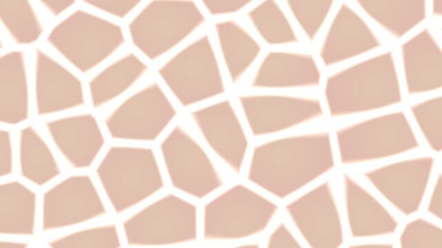 soft white voronoi liquid cells motion background for minimalist motion design