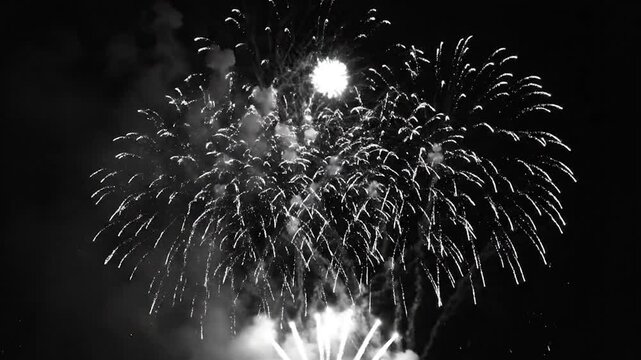 Bright fireworks explode against the dark night sky in a monochrome display.