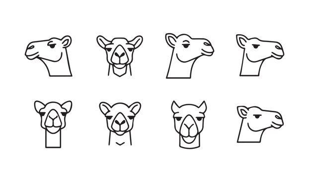 Camel Head Icons Set Vector Illustration Simple Line Art Style