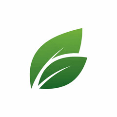 A vibrant green leaf with prominent white veins rendered with a slight textured effect