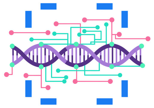 Abstract DNA clock graphic with methylation data overlay. Modern, digital design. Ideal for science, technology, and health concepts.