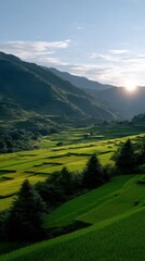 Obraz premium Scenic Perspective of Terraced Rice Fields Under Glowing Sunlight in Nature