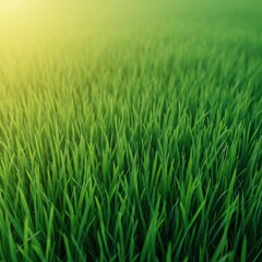 Obraz premium A vibrant field of lush, healthy green grass blades growing densely, creating a rich natural texture and refreshing background, lawn, carpet, vibrant