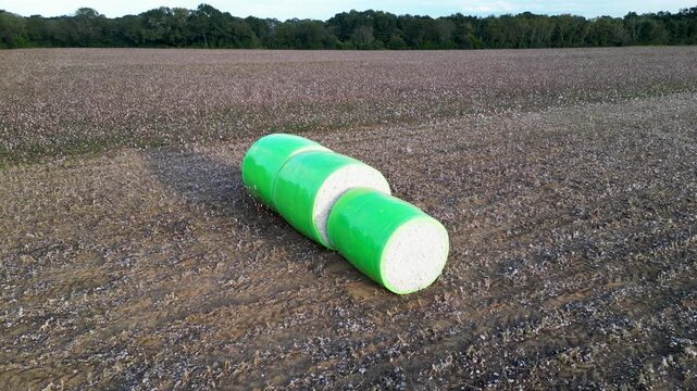 Single wrapped cotton bale positioned beside harvested cotton field near Headland, Henry County, Alabama, United States during autumn harvest season, aerial view.
