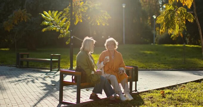Senior women friends enjoying conversation on a park bench