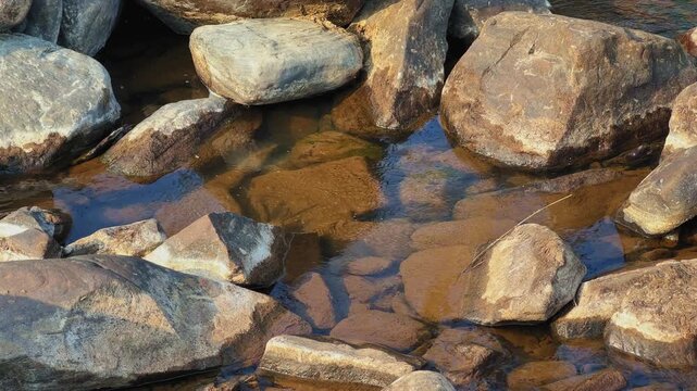 Shallow rock pool with multiple water striders gliding on the surface, clear stream water revealing layered stones, sunlight reflections creating calm natural patterns.!