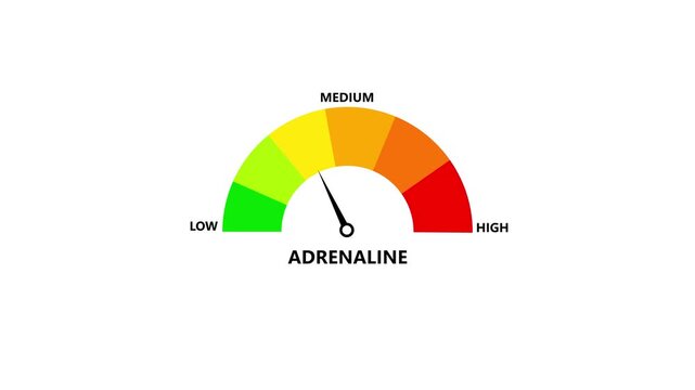 Colorful semicircle gauge showing adrenaline level from low to high with needle near high, minimal infographic on white background.