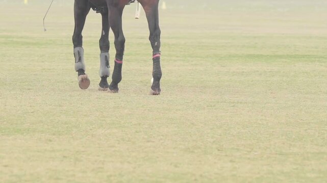Close-up action shot of a polo player striking the ball with a mallet while riding a horse during a polo match. Dynamic equestrian sport moment captured in motion.