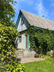 A country house made of blocks with a living wall of maiden grapes. A sunny summer day outside the city.