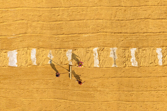 Brahmanbaria, Bangladesh - 24 January 2026: Aerial view of the golden fields patterned with linear textures, punctuated by the bright contrast of drying rice and the shadows of people.