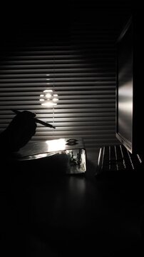 vertical video Person's hand and a binder in silhouette on a desk, illuminated by light filtering through blinds, indicating clandestine work or a secret investigation in a dark office setting