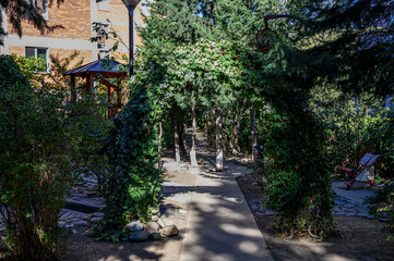 Green Arch with Plants over a Pedestrian Path