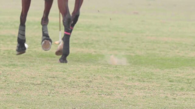 Close-up action shot of a polo player striking the ball with a mallet while riding a horse during a polo match. Dynamic equestrian sport moment captured in motion.